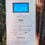 Apple iMac Retina 4K 21.5-inch 2019 - Core i3 | 1TB Storage | Radeon Pro 555X Image 2