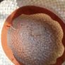 Vintage Hat Image 4
