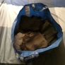 Bargain Womens Clothes Bundle- Final Offer As I'm Moving Image 8