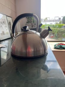 stovetop kettle