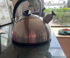 stovetop kettle