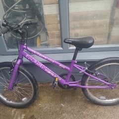 apollo bike