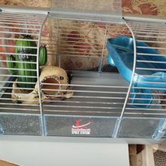 hamster Habitrail