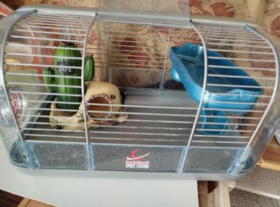 hamster Habitrail