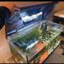 60litre fish tank Image 3