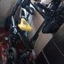 e-bikes Image 10