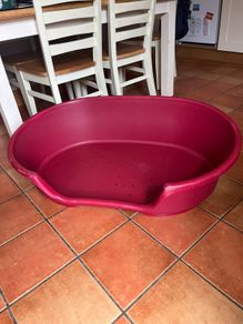 large dog bed