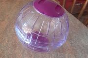 hamster ball