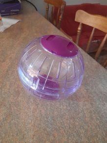 hamster ball