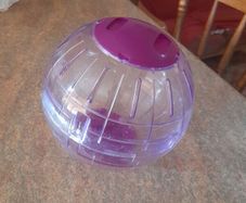 hamster ball