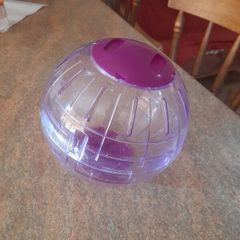 hamster ball