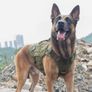 OneTigris X Destroyer Tactical Dog Harness 2 or 3 Handles Heavy Duty Dog Vest with Metal Buckles Image 5