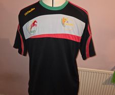 Carlow Colts GAA Jersey - Medium size