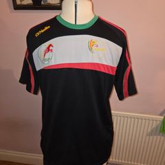 Carlow Colts GAA Jersey - Medium size