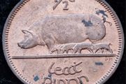 [#131] - Ireland 1966 | Irish 1/2d | Irish Half Penny | KM.10 | High Grade