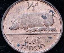 [#131] - Ireland 1966 | Irish 1/2d | Irish Half Penny | KM.10 | High Grade