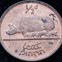 [#131] - Ireland 1966 | Irish 1/2d | Irish Half Penny | KM.10 | High Grade