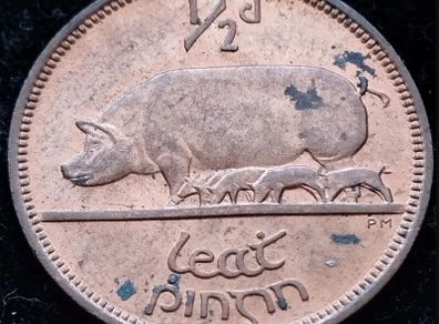 [#131] - Ireland 1966 | Irish 1/2d | Irish Half Penny | KM.10 | High Grade