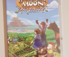 Harvest Moon One World Switch