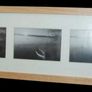 New Panoramic Collage Frame Image 5