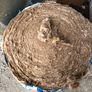 FREE insulation Image 2