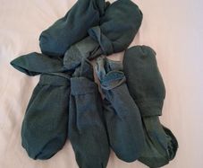 Free green school socks