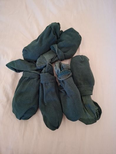 Free green school socks