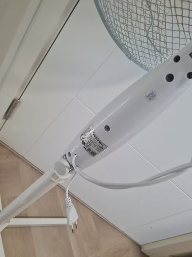 fan