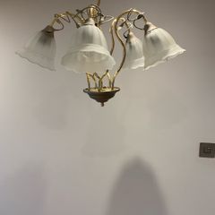 Ceiling Light