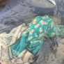 Baby Boys/toddlers clothes bundle Image 6