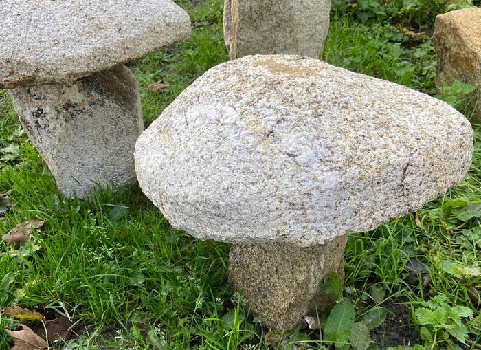 granite mushrooms