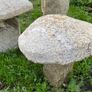 granite mushrooms Image 3