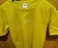 Zara Mans T Shirt