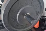 weight 25kg