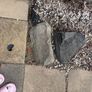 Free To Take Garden Rocks Image 6