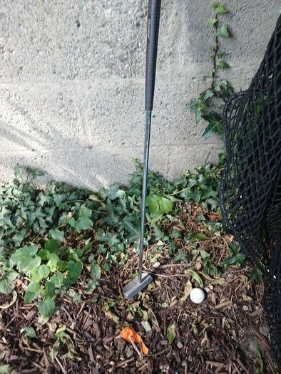 putter