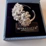Ring Image 4