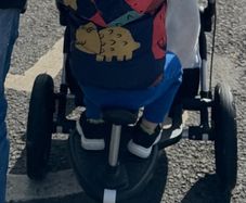 Bugaboo board (toddler seat) + adaptor