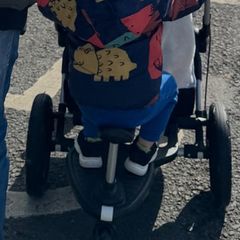 Bugaboo board (toddler seat) + adaptor