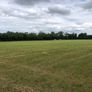 Silage Image 3