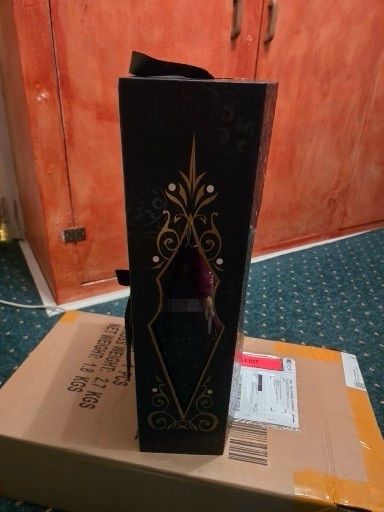 Limited edition doll Disney mother Gothel