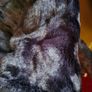creenstone navy and brown long faux fur Image 6