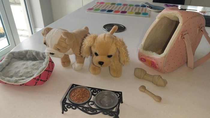 Puppy teddies (our generation)