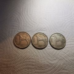 Irish Half Crowns