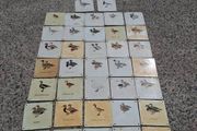 37 X Mid Century Avian Metal Display Plaques