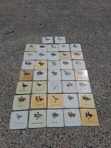 37 X Mid Century Avian Metal Display Plaques