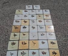37 X Mid Century Avian Metal Display Plaques