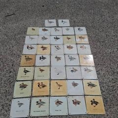 37 X Mid Century Avian Metal Display Plaques