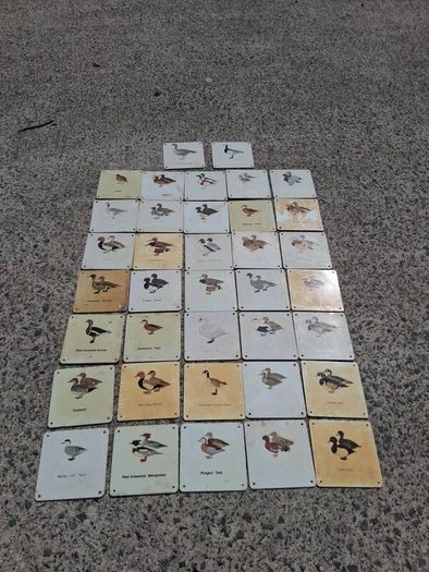 37 X Mid Century Avian Metal Display Plaques