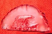 Crystal Polar Bear Sculpture